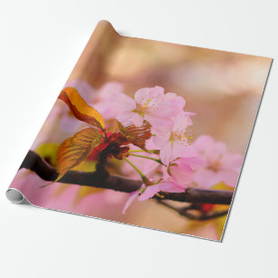 Papel De Regalo Bonita Flor De Sakura Rosa En Primavera