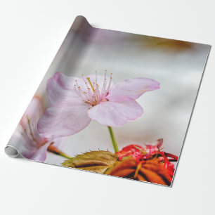 Papel De Regalo Bonita Flor De Sakura Rosa En Primavera