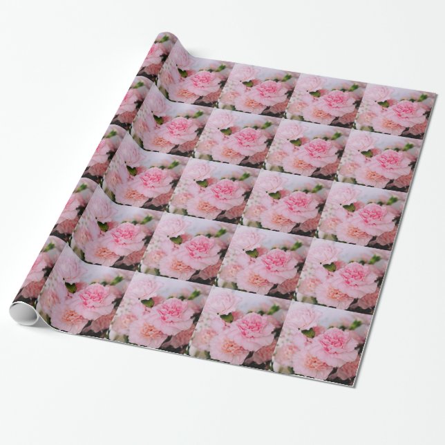 Papel De Regalo Bonita fotografía de flor de clavel rosa. (Desenrollado)