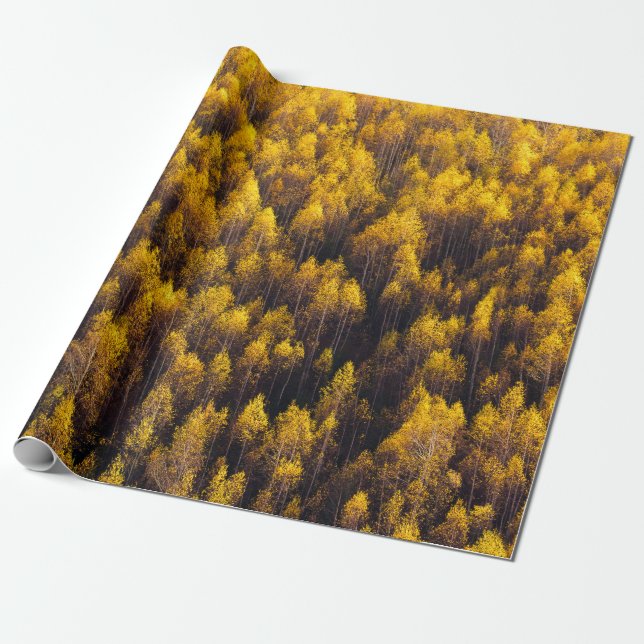 PAPEL DE REGALO BONITO BOSQUE DE PINOS (Desenrollado)