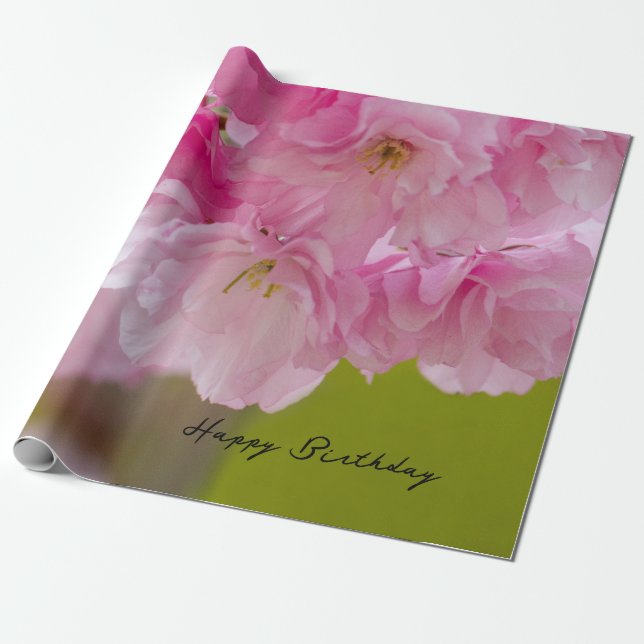 Papel De Regalo Bonito color (Desenrollado)