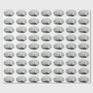 Papel De Regalo Bonito pavo real blanco