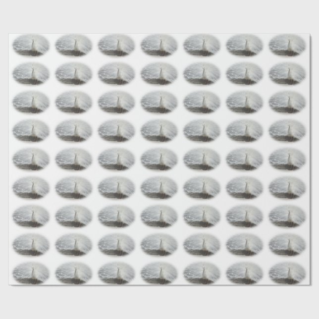 Papel De Regalo Bonito pavo real blanco (Superficie plana)