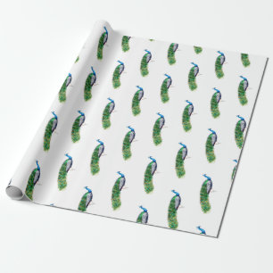 Papel De Regalo Bonito Peacock