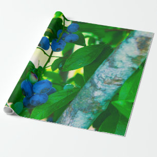 Papel De Regalo Bonitos Vegetales