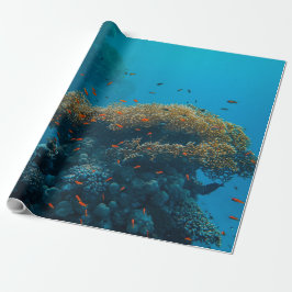 Papel De Regalo Bonitos Y Arrecifes