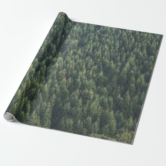PAPEL DE REGALO BOSQUE DE ÁRBOL PINO (Desenrollado)