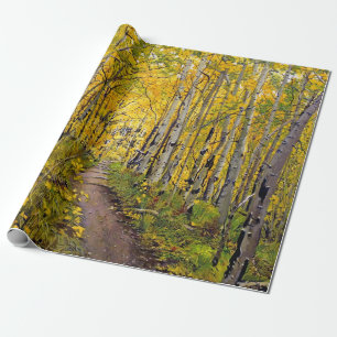 Papel De Regalo Bosque de árboles ápicos en otoño