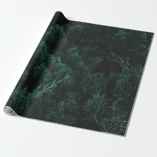 Papel De Regalo Bosque de pino oscuro