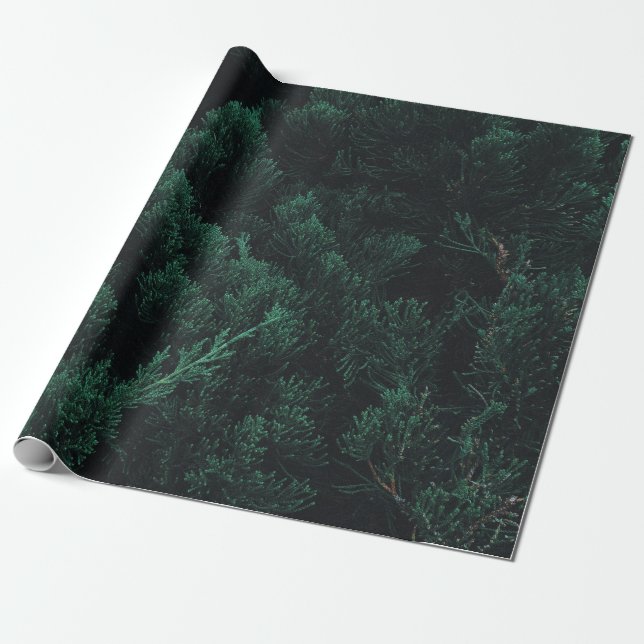 Papel De Regalo Bosque de pino oscuro (Desenrollado)