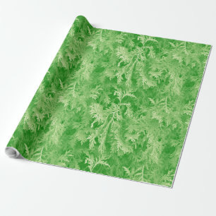 Papel De Regalo Bosque Fir