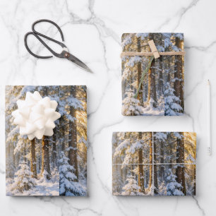 Papel de Regalo Bosque Soleado • Hojas • Set de 3