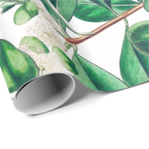 Papel De Regalo Botanica
