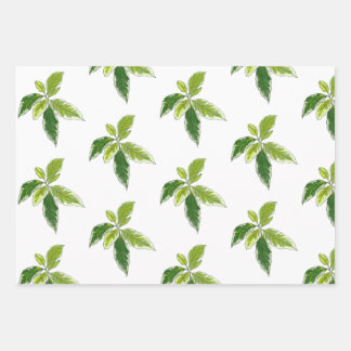 Papel de regalo botánico