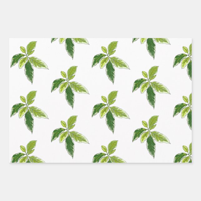 Papel de regalo botánico (Anverso)