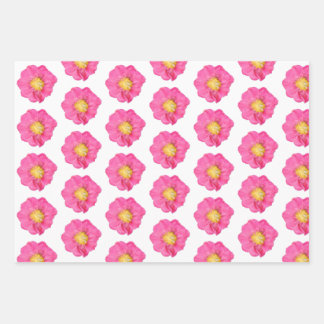 Papel de regalo botánico de peonía rosa hoja plana