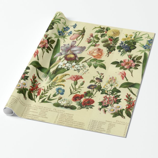 Papel De Regalo Botánicos de Flores Vintage (Desenrollado)