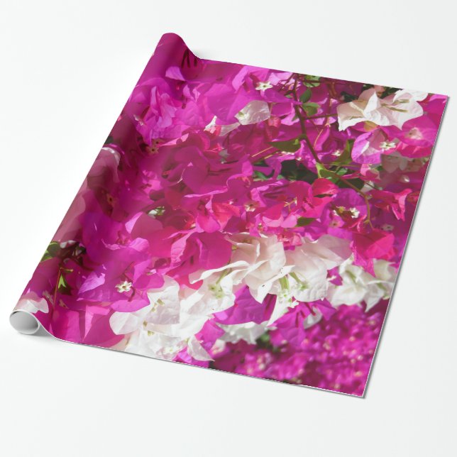 Papel De Regalo Bougainvillea (Desenrollado)