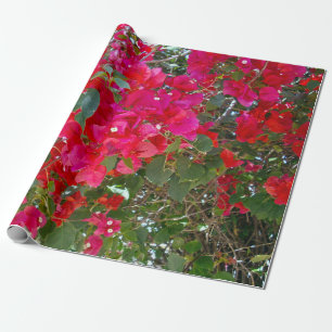 Papel De Regalo Bouganvillea roja,