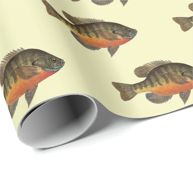 Papel De Regalo Bream, Bluegill (Esquina del rollo)