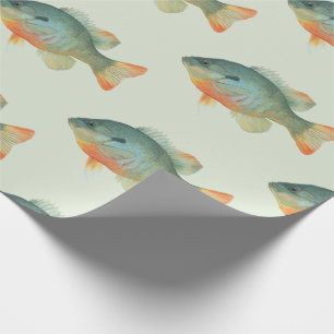 Papel De Regalo Bream Bluegill Sunfish Perch Fish Gift