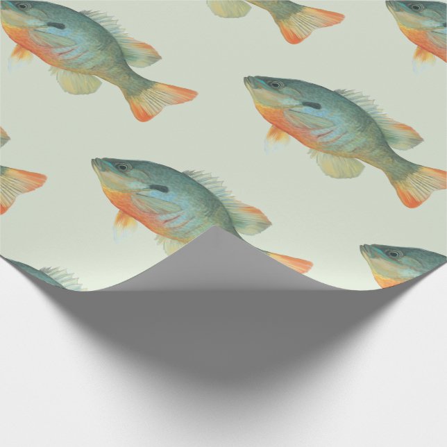 Papel De Regalo Bream Bluegill Sunfish Perch Fish Gift (Esquina)