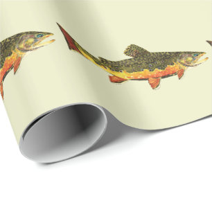 Papel De Regalo Brook Trout salvelinus fontinalis