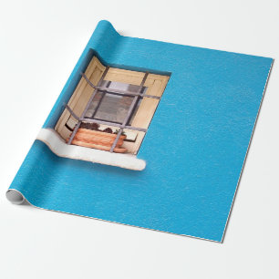 PAPEL DE REGALO BROWN CLAY POT ON WINDOWS