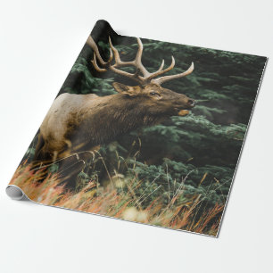 PAPEL DE REGALO BROWN DEER ON GREEN GRASS DURANTE EL DÍA