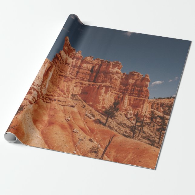 PAPEL DE REGALO BROWN ROCKS (Desenrollado)