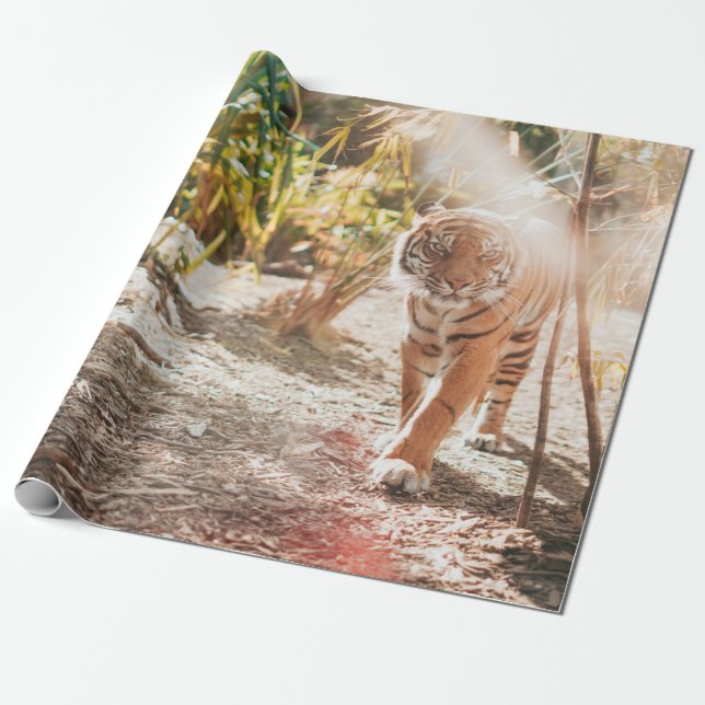 PAPEL DE REGALO BROWN TIGER IN WALKING GESTURE (Desenrollado)