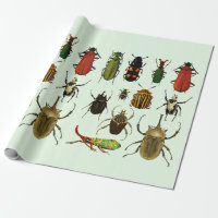 Bugs Inspira escarabajos Entomología vida silvestr