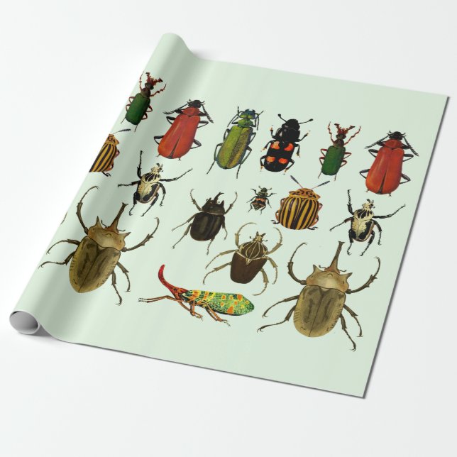 Papel De Regalo Bugs Inspira escarabajos Entomología vida silvestr (Desenrollado)