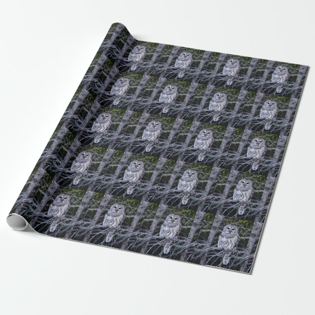 Papel De Regalo Búho barrado (Desenrollado)