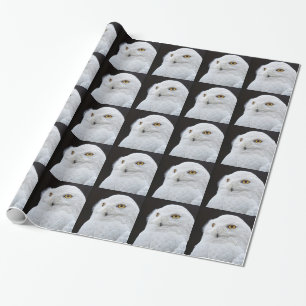Papel De Regalo Búho Blanco