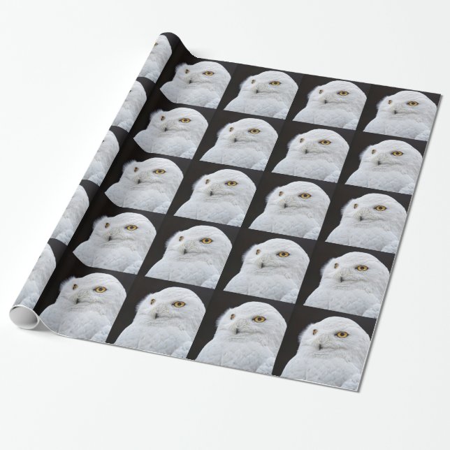 Papel De Regalo Búho Blanco (Desenrollado)