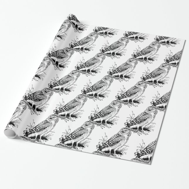 Papel De Regalo Búho de Barn Thunder_Cove (Desenrollado)
