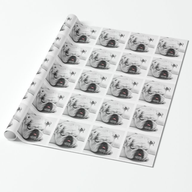Papel De Regalo Bulldog (Desenrollado)