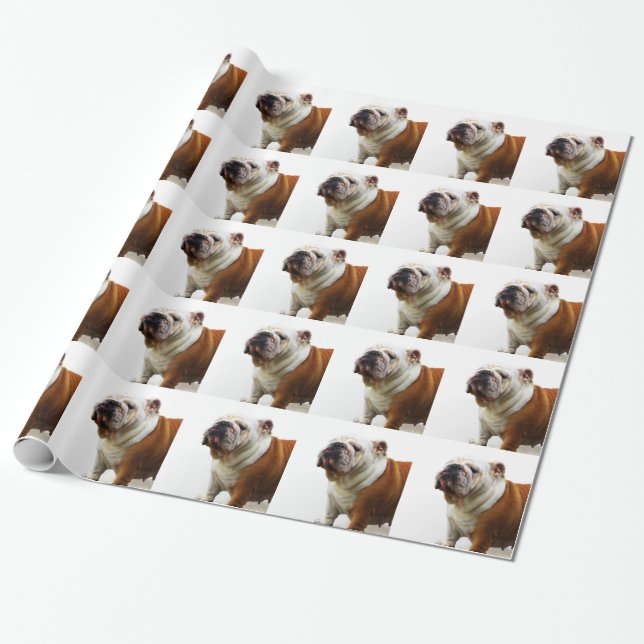 Papel De Regalo Bulldog (Desenrollado)