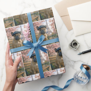 Papel De Regalo Bulldog Francés en un Banco de un Parque de París