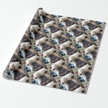 Bulldog inglés