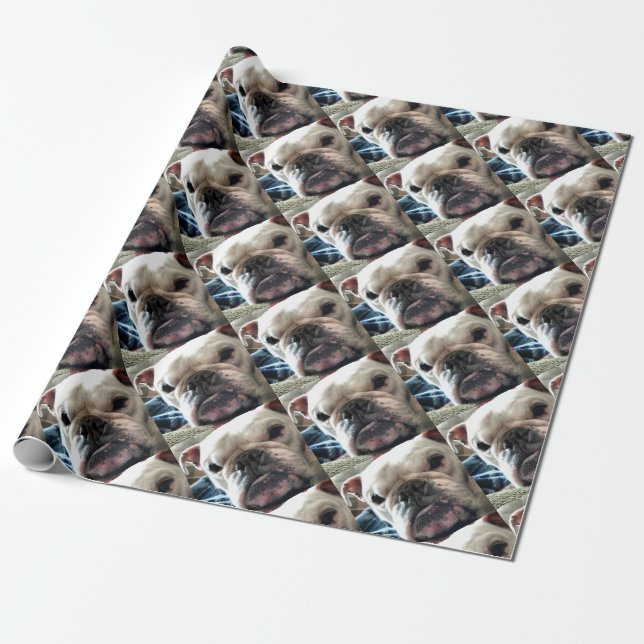 Papel De Regalo Bulldog inglés (Desenrollado)