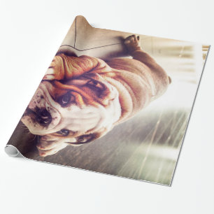 Papel De Regalo Bulldog Inglés Ligero Perro Foto de perro