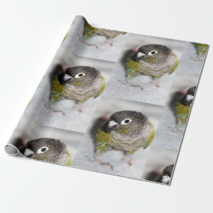 Papel De Regalo Burbel