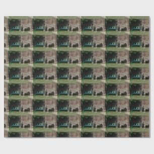 Papel De Regalo Burro Adorable Al Lado De Un Baño Verde De Madera