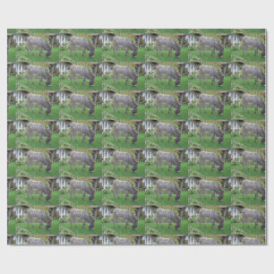 Papel De Regalo Burro Pastando