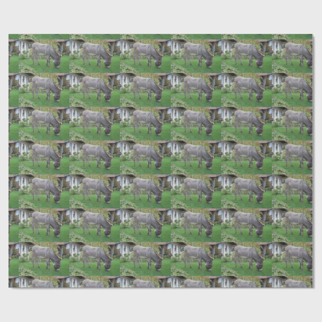Papel De Regalo Burro Pastando (Superficie plana)