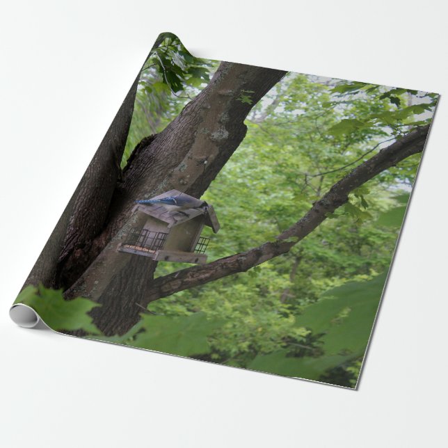 Papel De Regalo Buscar una mordedura para comer (Desenrollado)