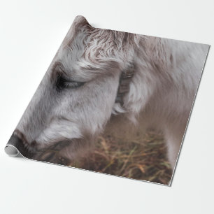 PAPEL DE REGALO CABALLO BLANCO