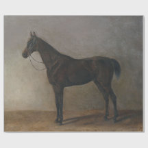 Caballo de gelatina marrón oscuro (arte animal vin